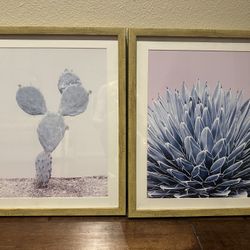 Cactus Framed Wall Art