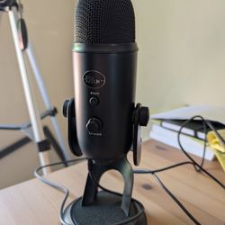 Professional Mic 