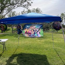 Encanto Birthday sign