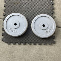 Weight Plates      40. Dollars 
