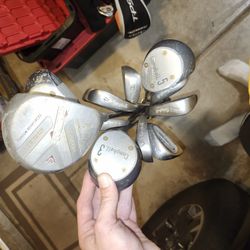 Golf Clubs FULL Set Callaway And Other Brands