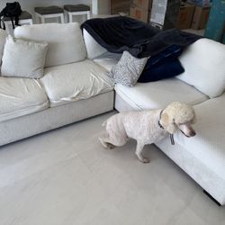 Free Couch 