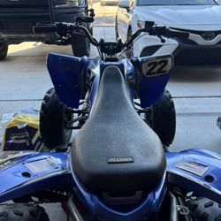 2022 Vitacci Pentora 