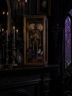 Dark academia conjoined twins faux display oddity