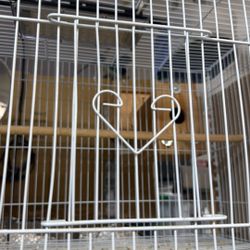 Lovebird Cage🦜