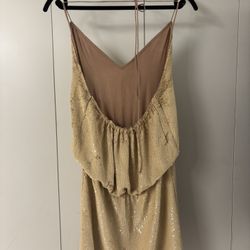 Haute Hippie Nude Sequin Mini Dress Worn One Time!!!