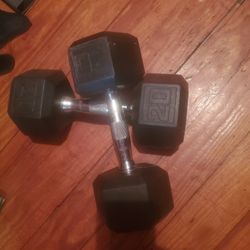 20 Pound Weights