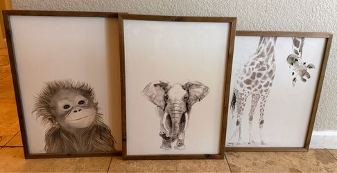 Hobby Lobby Safari themed photo set of 3