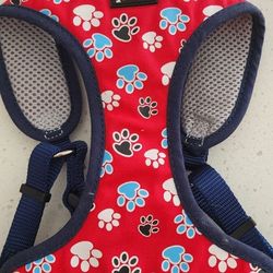 Dog Leash And Harness Coastal