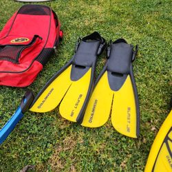 Fins For Scuba And Bag