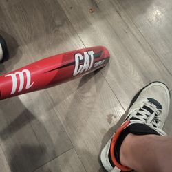 29/21 Marucci Cat Composite -8