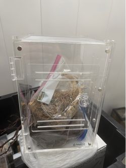 Herpcult Enclosure