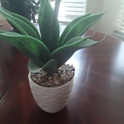 Beautiful Fake Plant In Abeautiful White Pot  Like New In Weeki Wachee Spring Hill