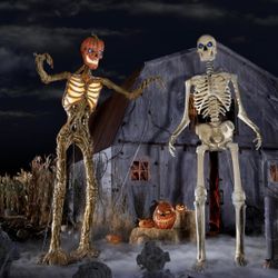 Home Depot Skeletons
