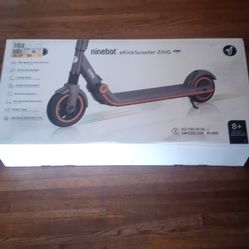 Ninebot Ekickscooter zing