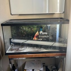 Terrarium 