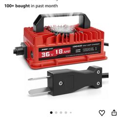 Golf Cart Battery Charger 