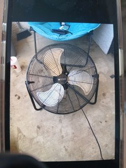 Fan