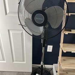 Holmes Oscillating Stand Fan With Metal Grill In Black