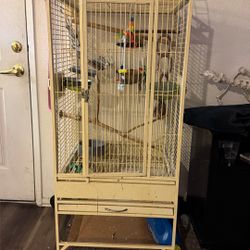 Bird Cage 