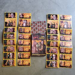 Vintage WWE Wrestler Cards $5/ Group