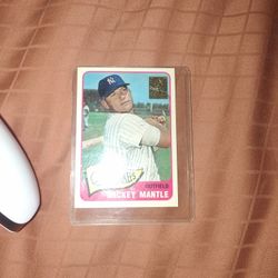Mikey Mantle 