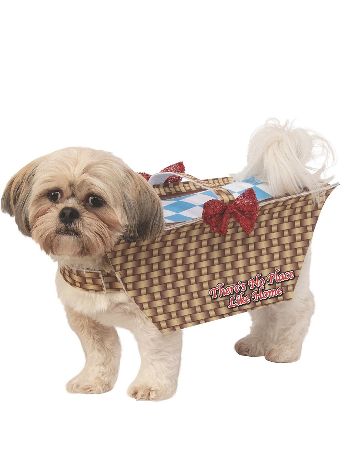 Toto Costume, Dog Costume Halloween 