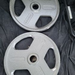 45lbs Olympic Weights