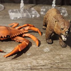 Bear and Crab 