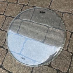 Ludwig Remo 18” Ambassador Head