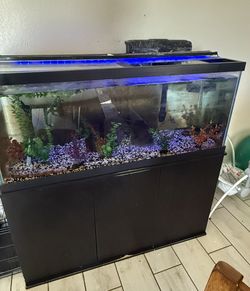 70 Gal Aquarium And Stand