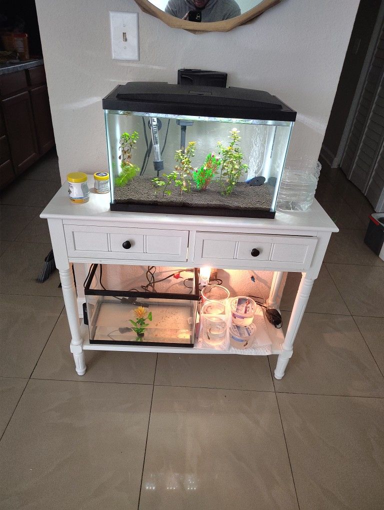 3 Fish Tanks 