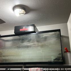 75 Gallon Fish Tank