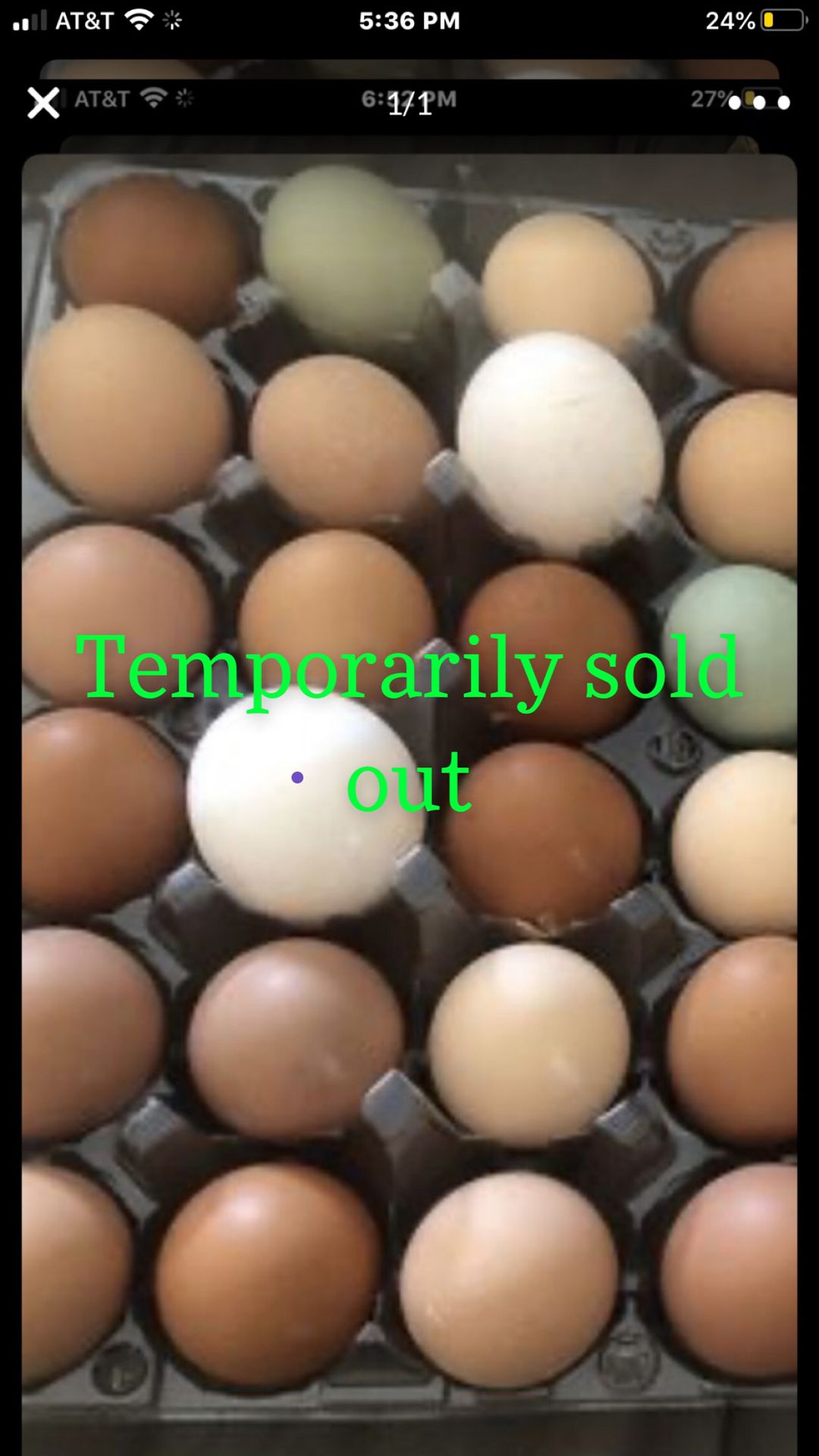 Fertilized chicken eggs for sale $5 per dozen $5.50 if I provide the crates We have Orphington, Cochin, Rhode Island red, Plymouth rock, Americana an