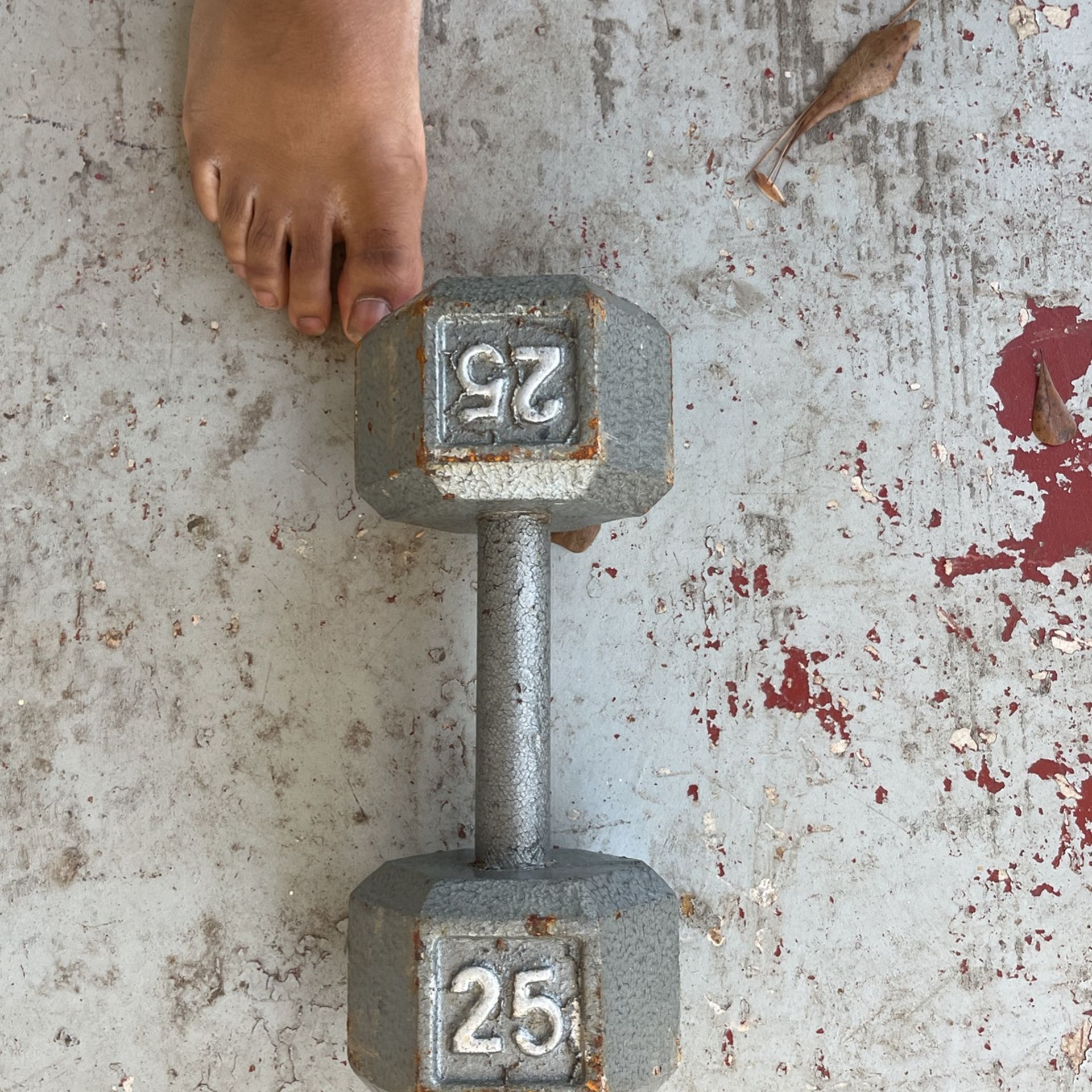 25 Lb Dumbbell