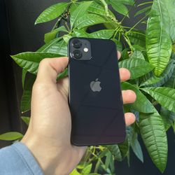 iPhone 12 Mini - Unlocked - 128GB