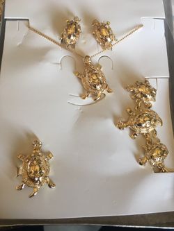 Set de tortugas
