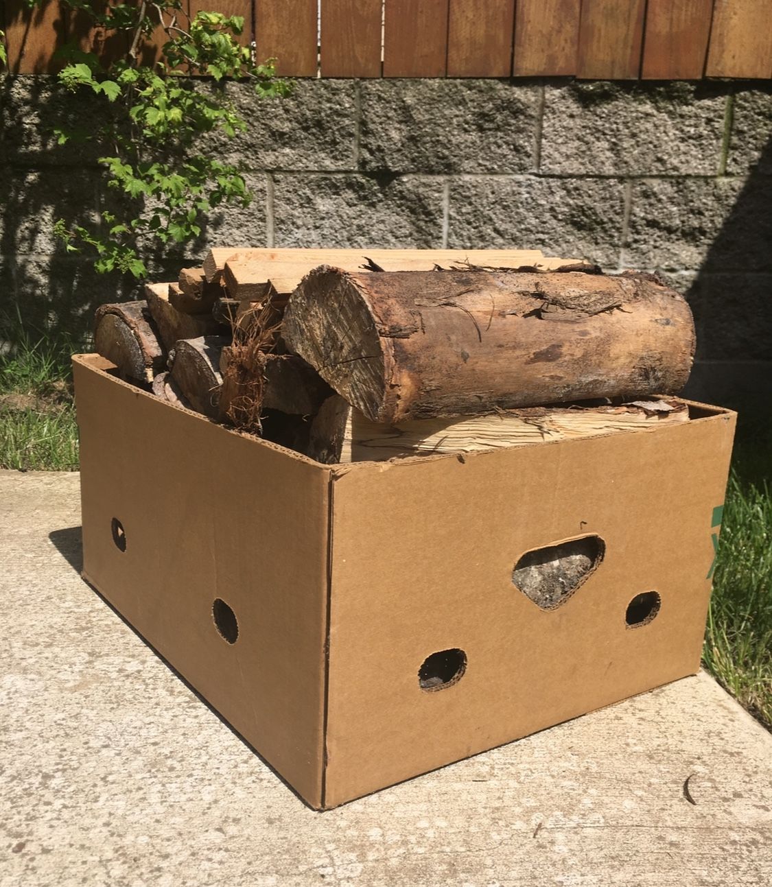 Dry Seasoned Fire Wood