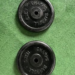 Pair of Standard Weight Plates