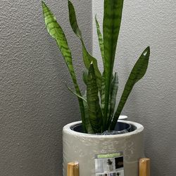 Cylinder Planter With Stand