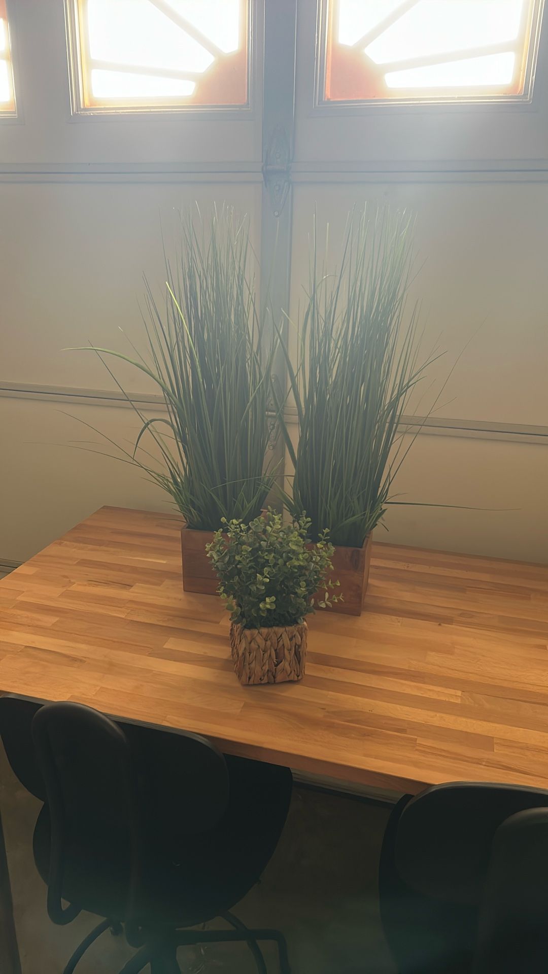 Home Decor - Fake Plants