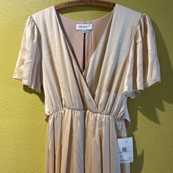 Long Champagne Dress