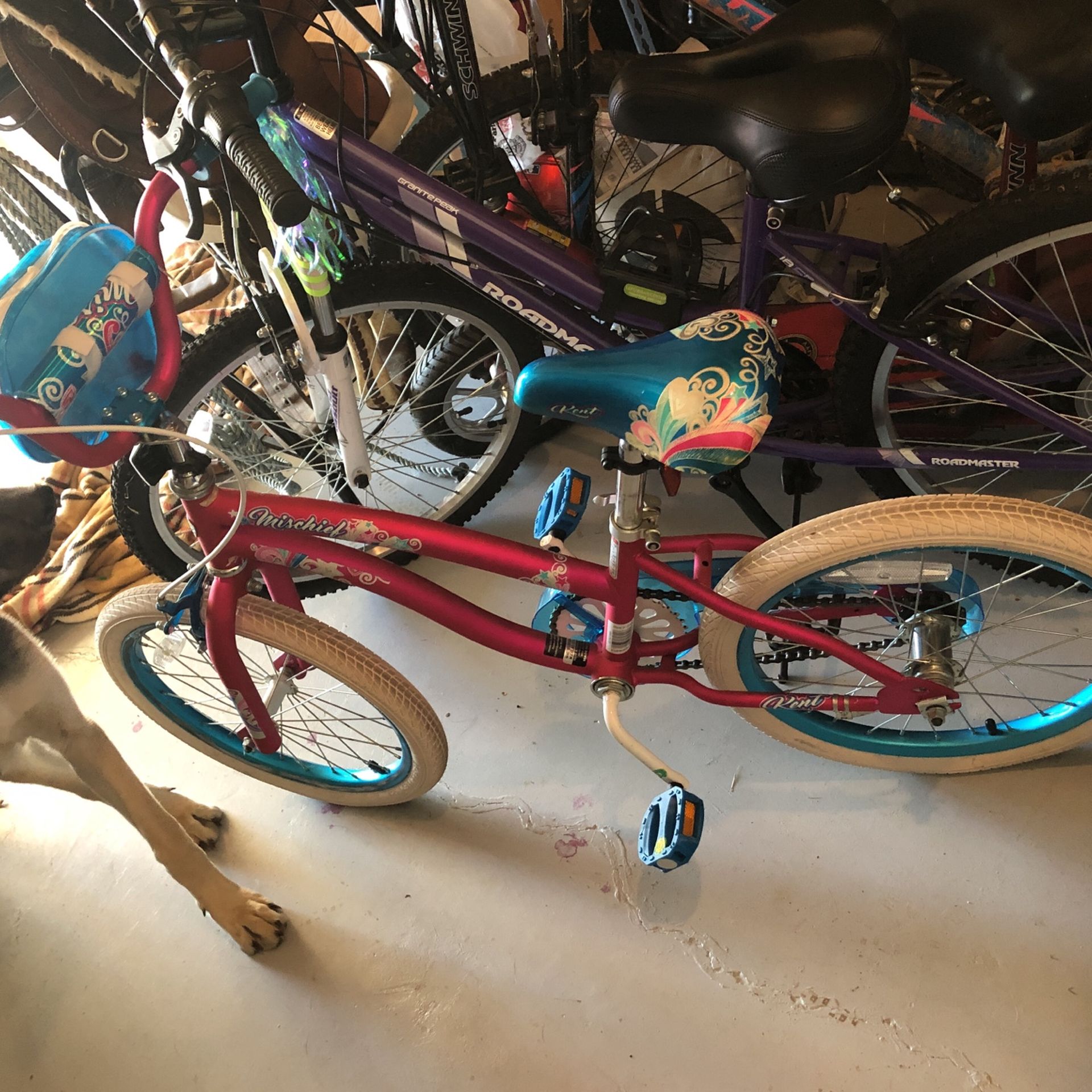 18” Girls Bike Garage Kept 