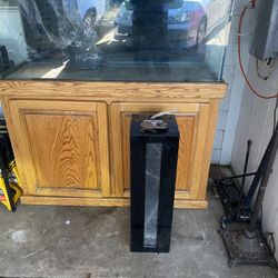 Saltwater Fish Tank With