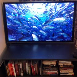 55” Panasonic Plasma Flat Screen TV