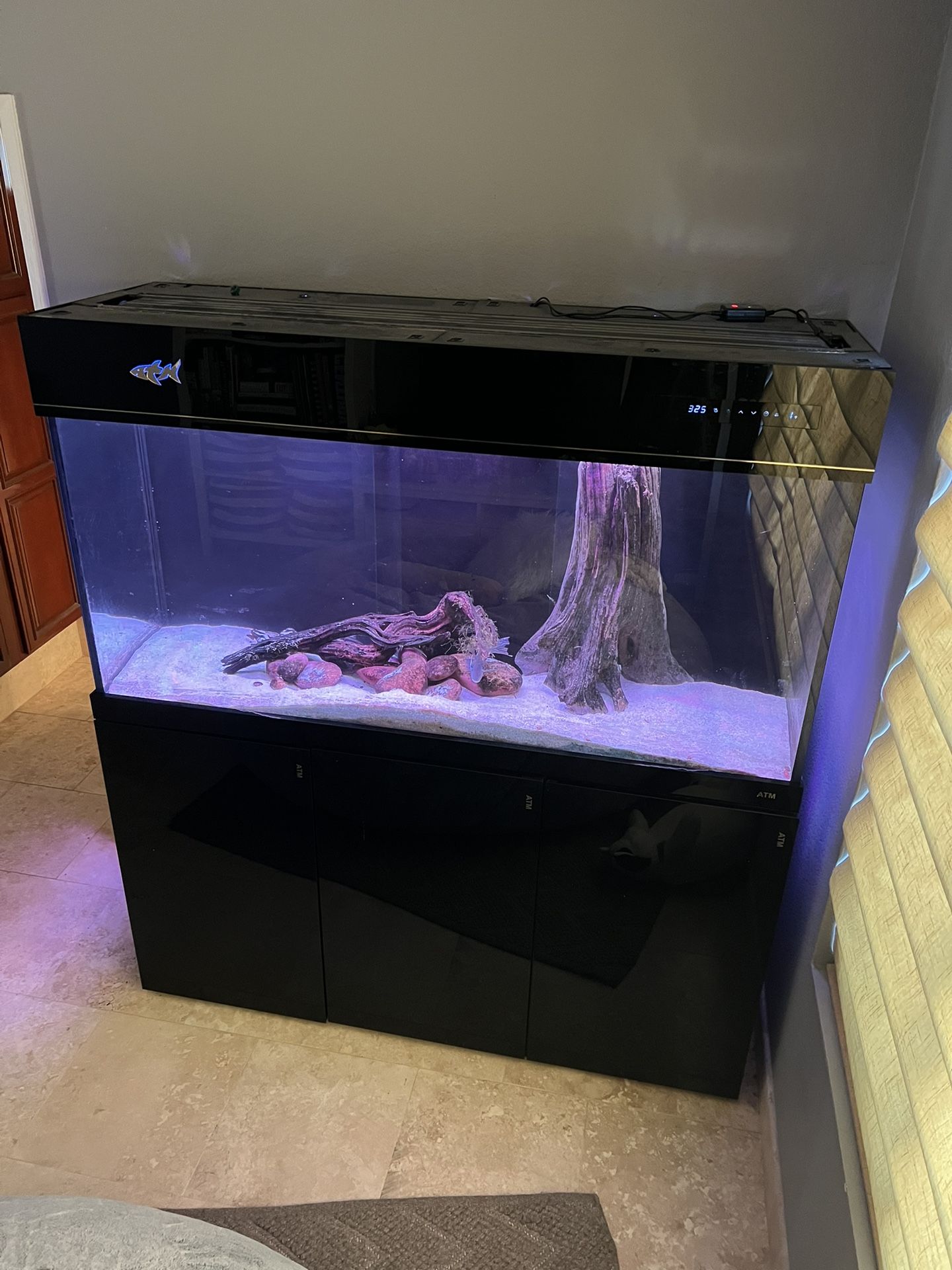 ATM Custom Glass Fish Tank With Cabinet. 160 Gallons 