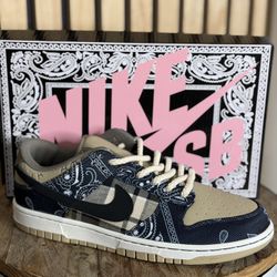 Nike Dunk TS 