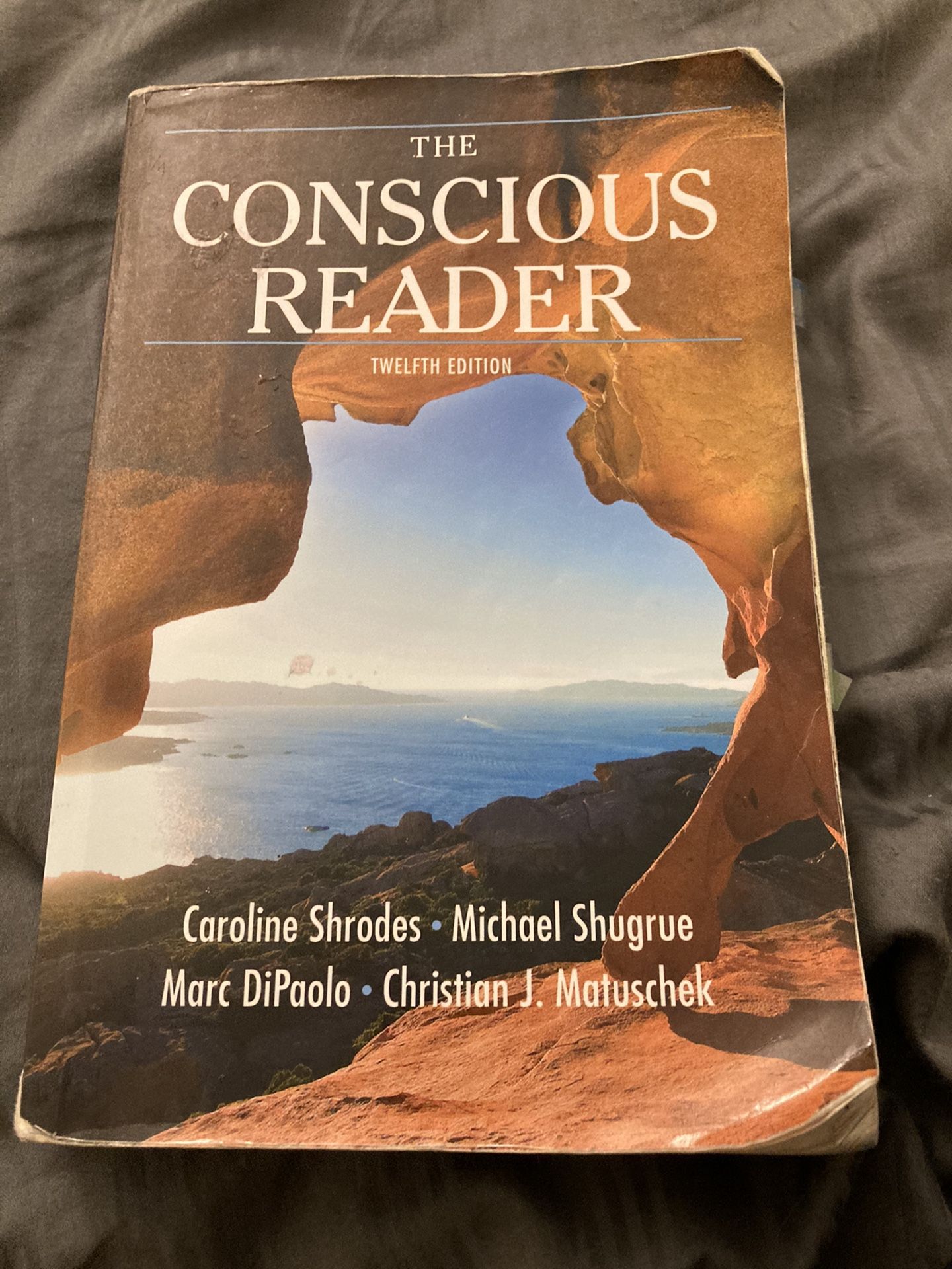 The conscious reader