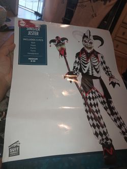 Jester Costume