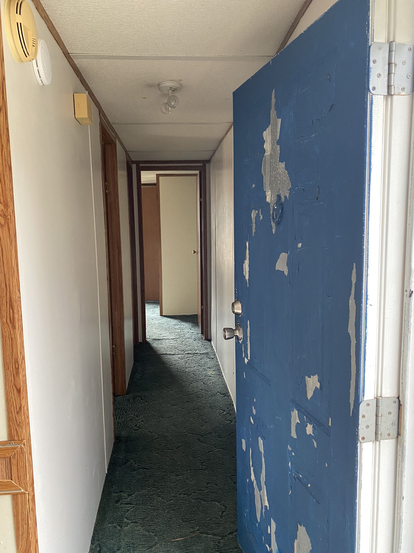 Singlewide Mobile Home For Sale for Sale in Wendell, NC OfferUp